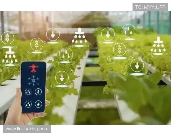 事业单位918周末大课堂推动信息化建设提升管理现代化水平