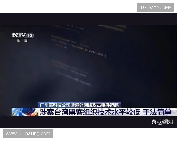 博天堂官网网址遭遇网络攻击事件及应对措施全面解析