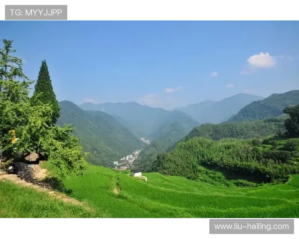 搏天堂918注册流程详解新手快速上手的完整指南