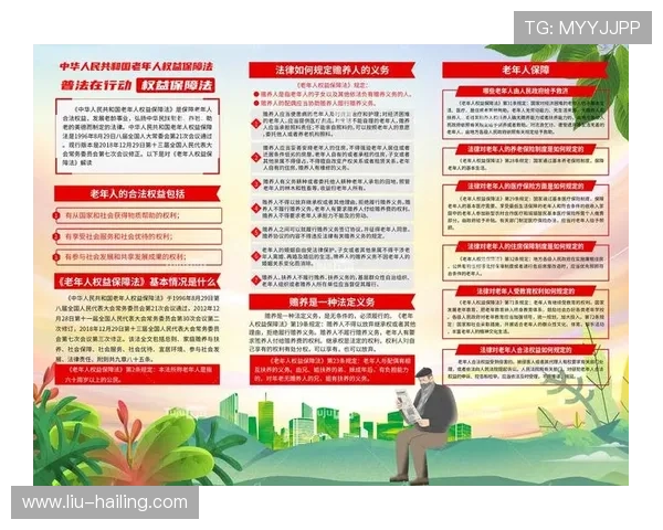 12博ag旗舰厅登录：平台安全保障体系全面介绍与用户权益保障